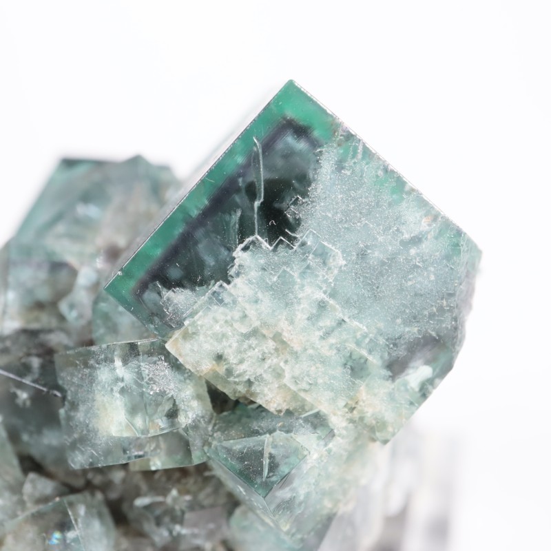 Fairy Holes Pocket �ե����饤��