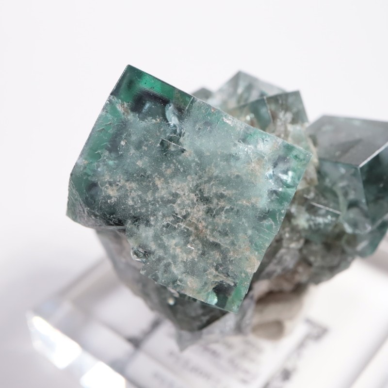 Fairy Holes Pocket �ե����饤��