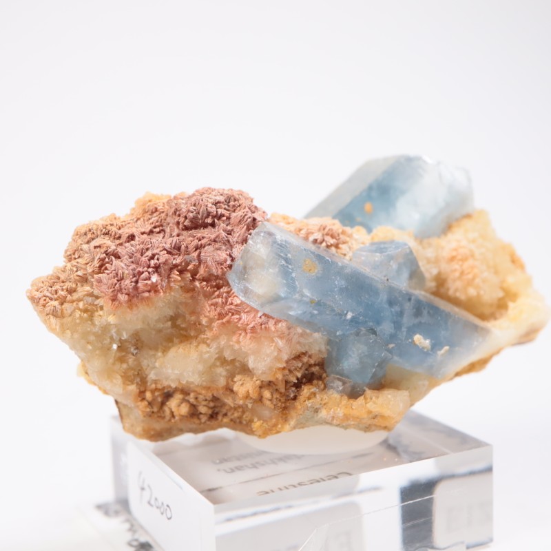 ���ե��˥����� ���쥹�ƥ���