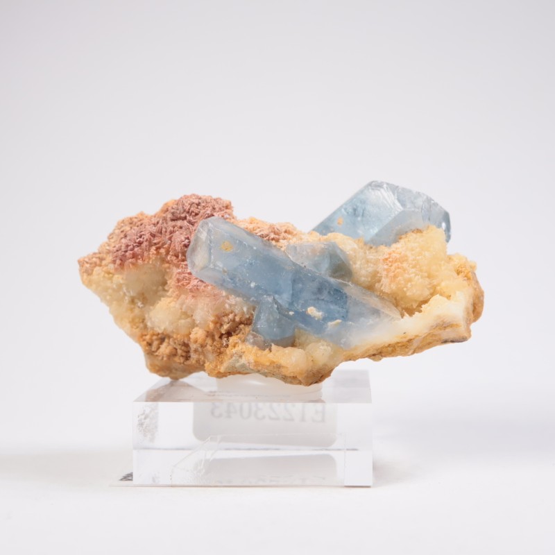 ���ե��˥����� ���쥹�ƥ���