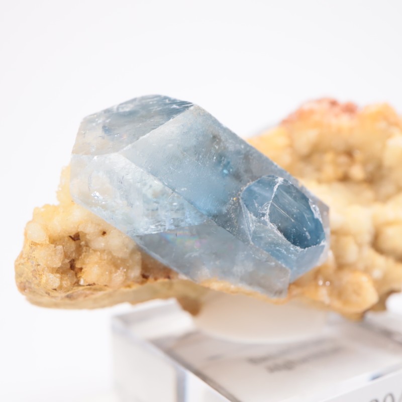 ���ե��˥����� ���쥹�ƥ���