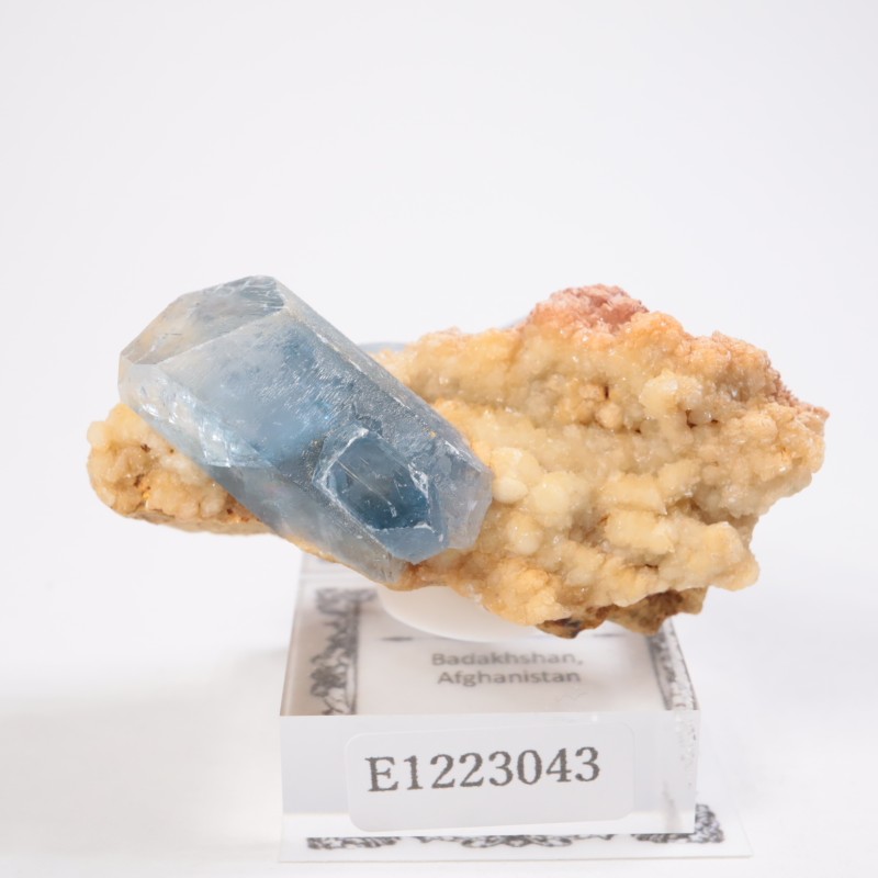 ���ե��˥����� ���쥹�ƥ���