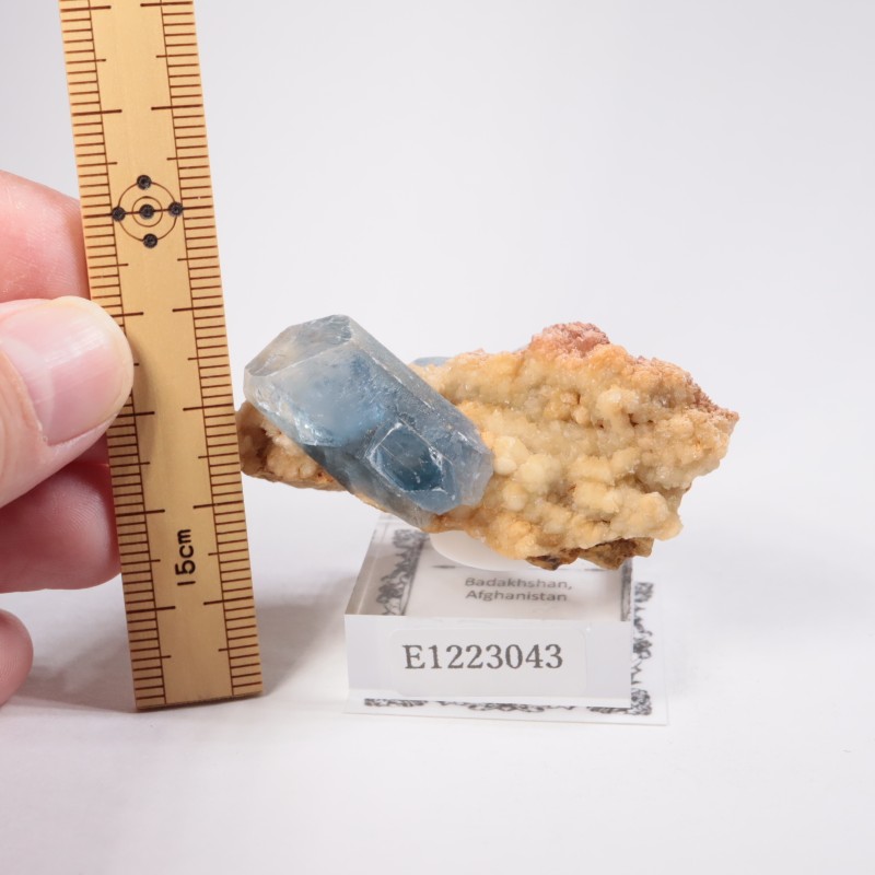 ���ե��˥����� ���쥹�ƥ���