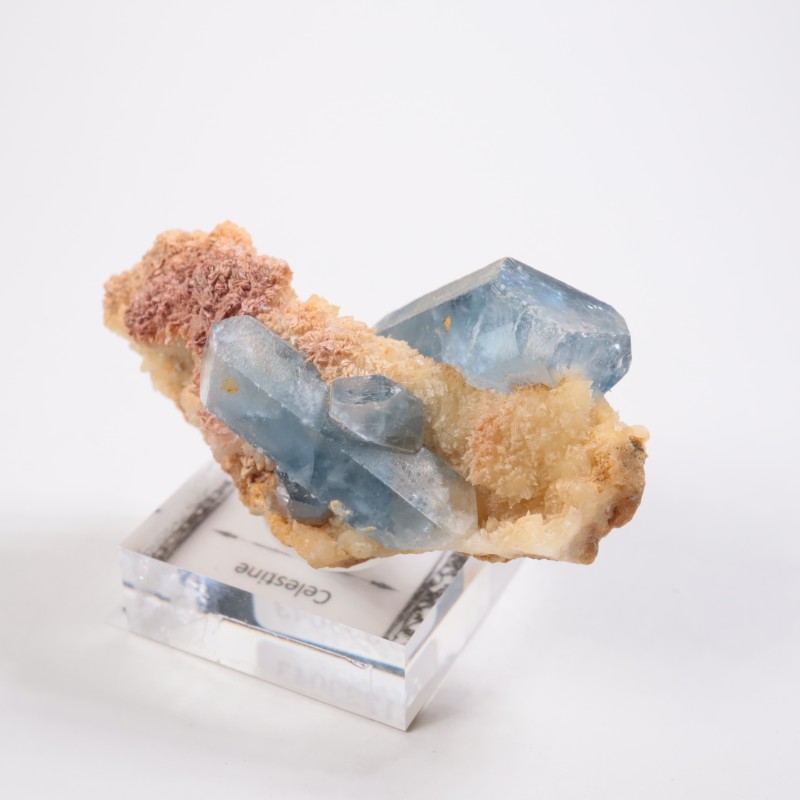 ���ե��˥����� ���쥹�ƥ���