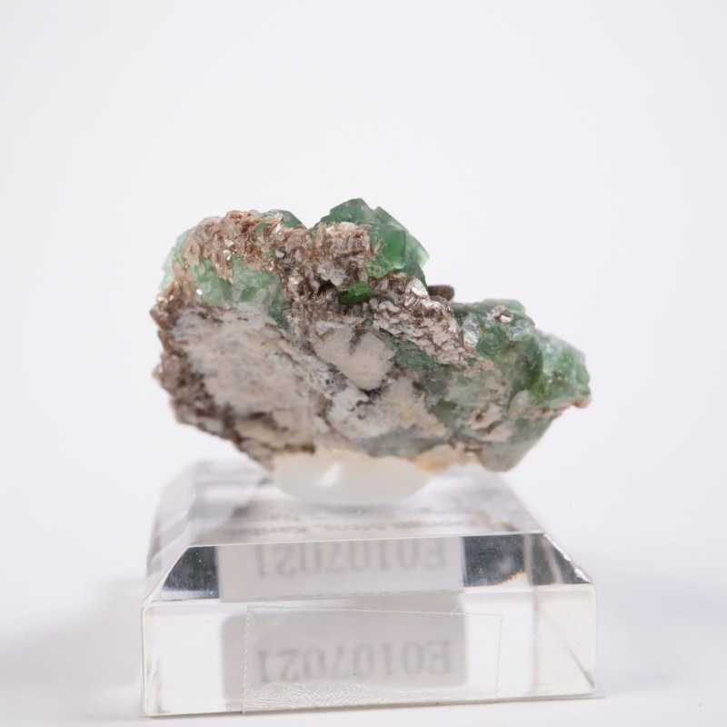 �����󥴹ۻ����ե����饤��