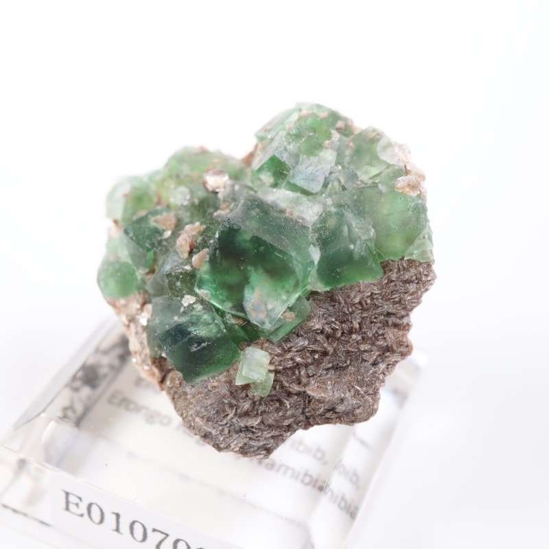 �����󥴹ۻ����ե����饤��