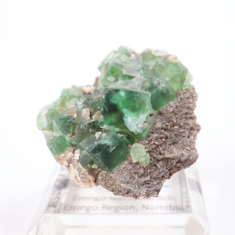 �����󥴹ۻ����ե����饤��