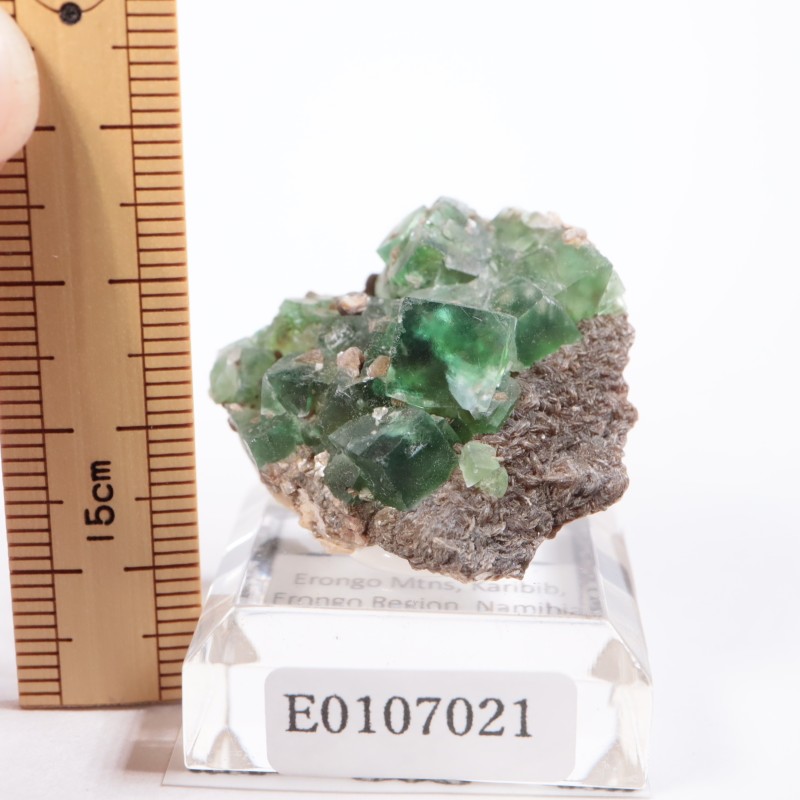 �����󥴹ۻ����ե����饤��