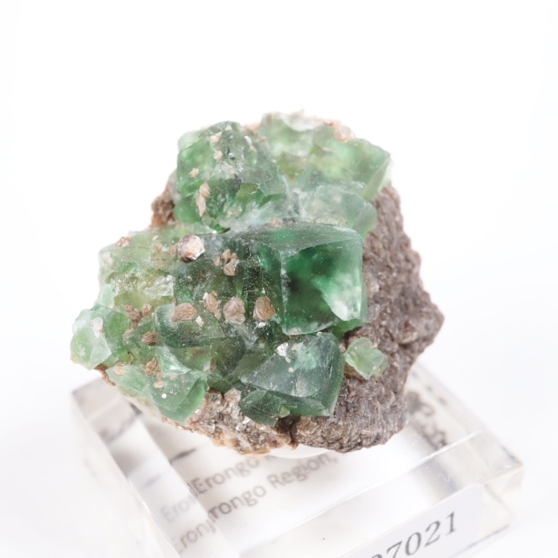 �����󥴹ۻ����ե����饤��