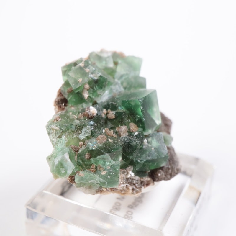 �����󥴹ۻ����ե����饤��