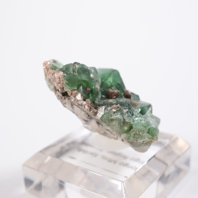 �����󥴹ۻ����ե����饤��