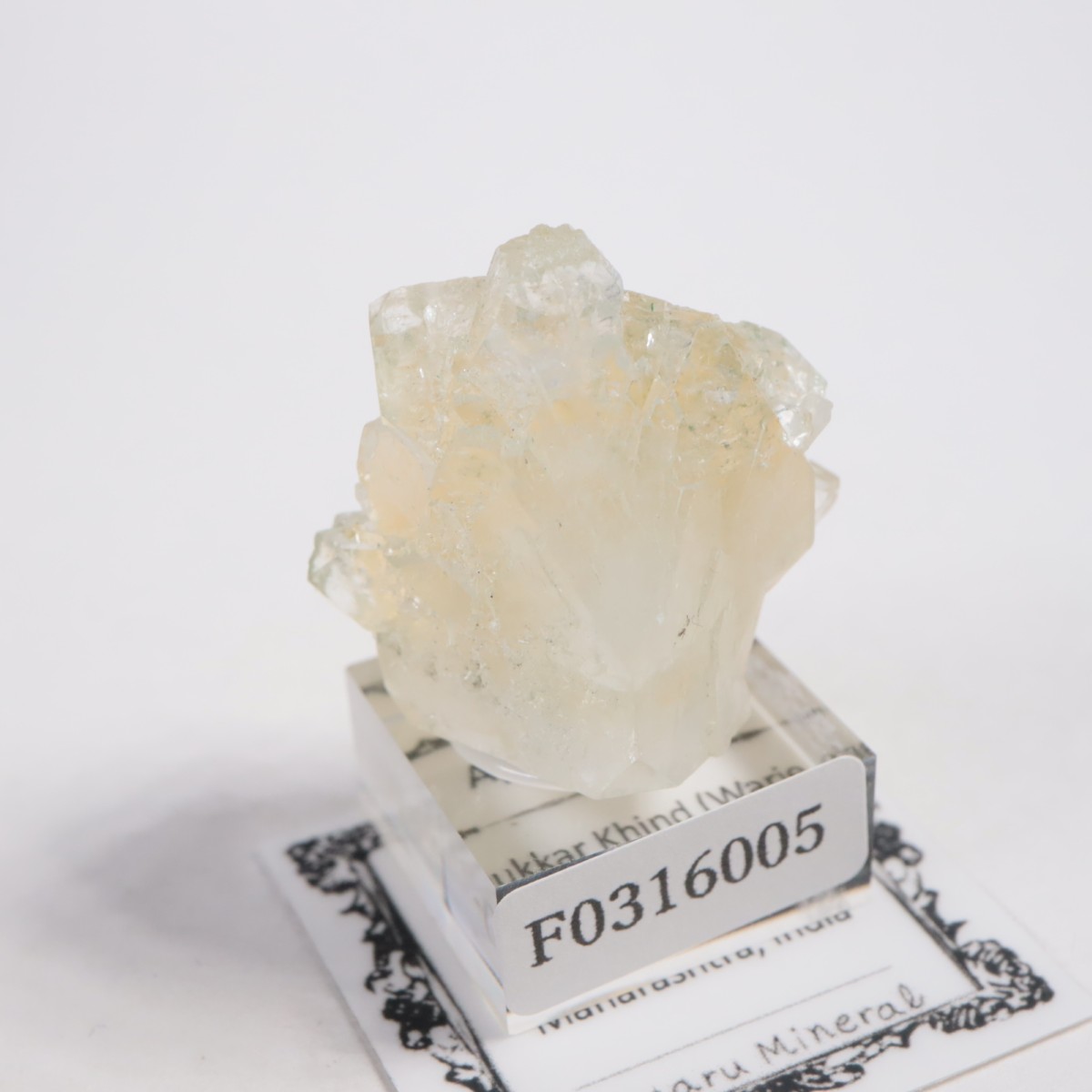 ����ɻ� ���ݥե��饤��