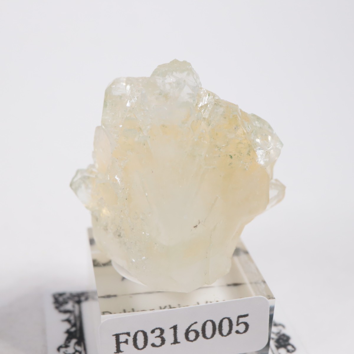 ����ɻ� ���ݥե��饤��