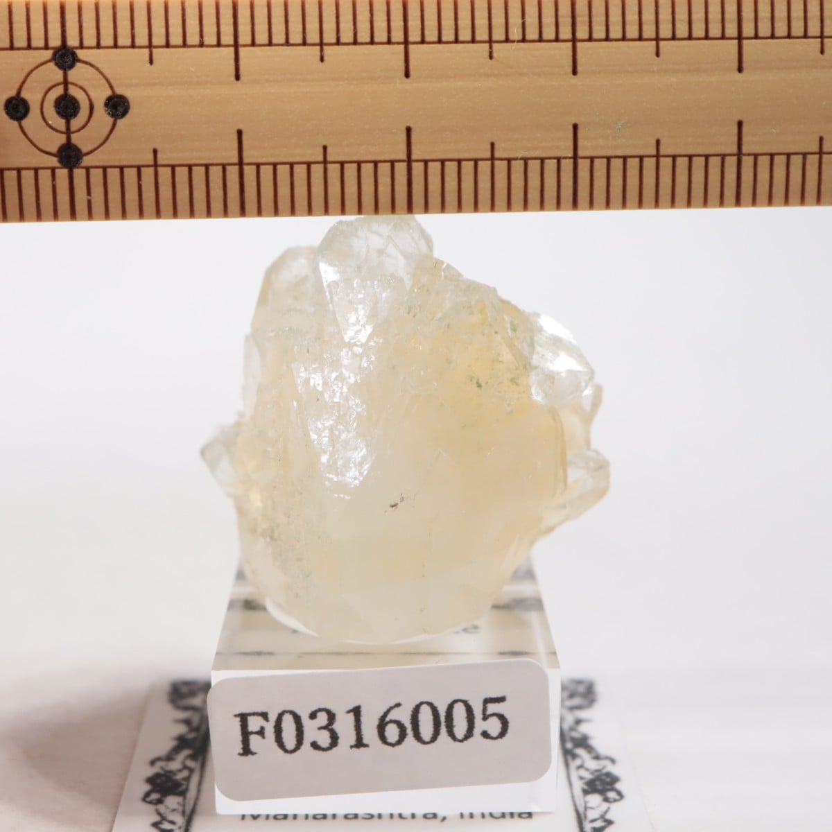 ����ɻ� ���ݥե��饤��