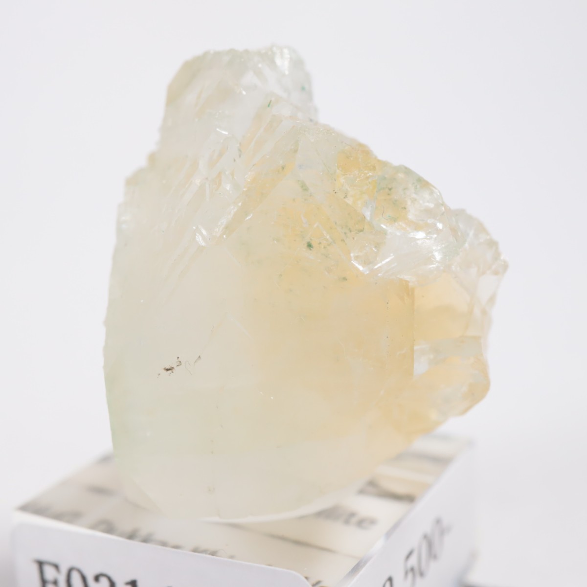 ����ɻ� ���ݥե��饤��