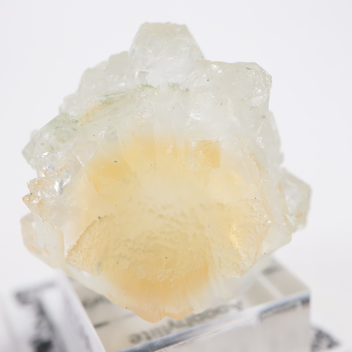 ����ɻ� ���ݥե��饤��