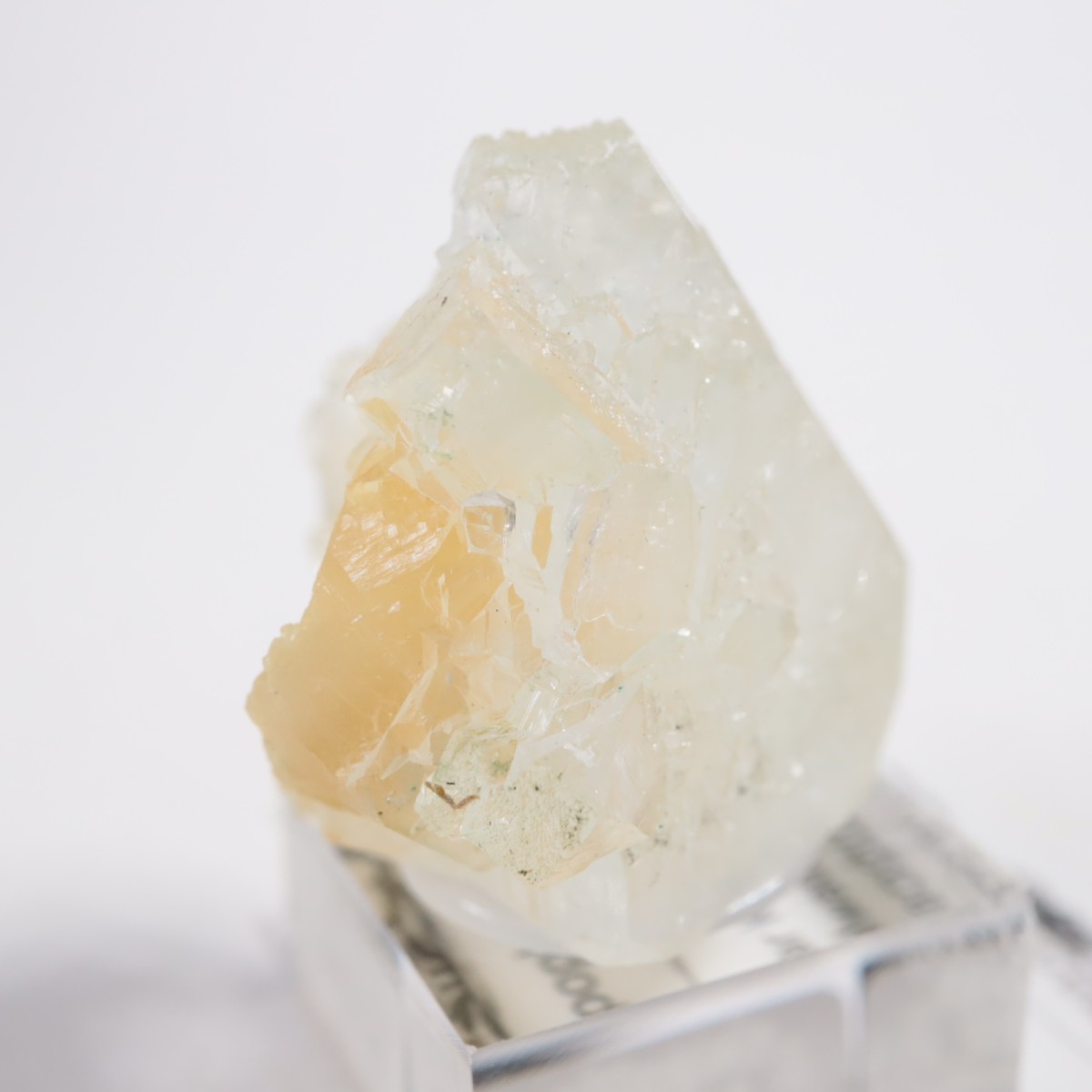 ����ɻ� ���ݥե��饤��