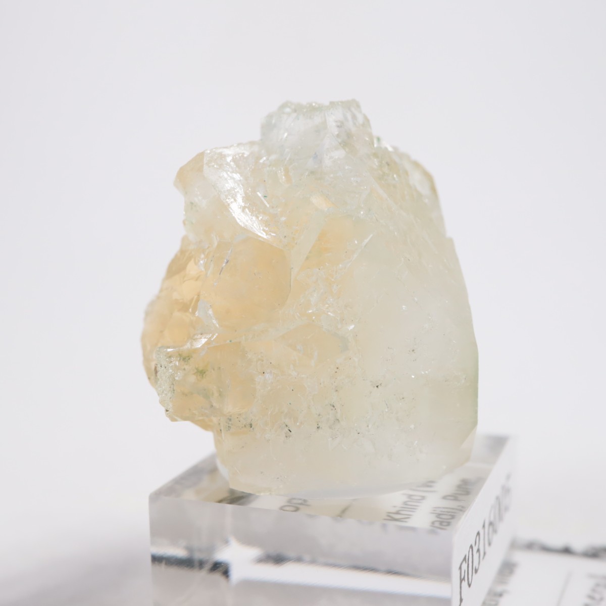 ����ɻ� ���ݥե��饤��