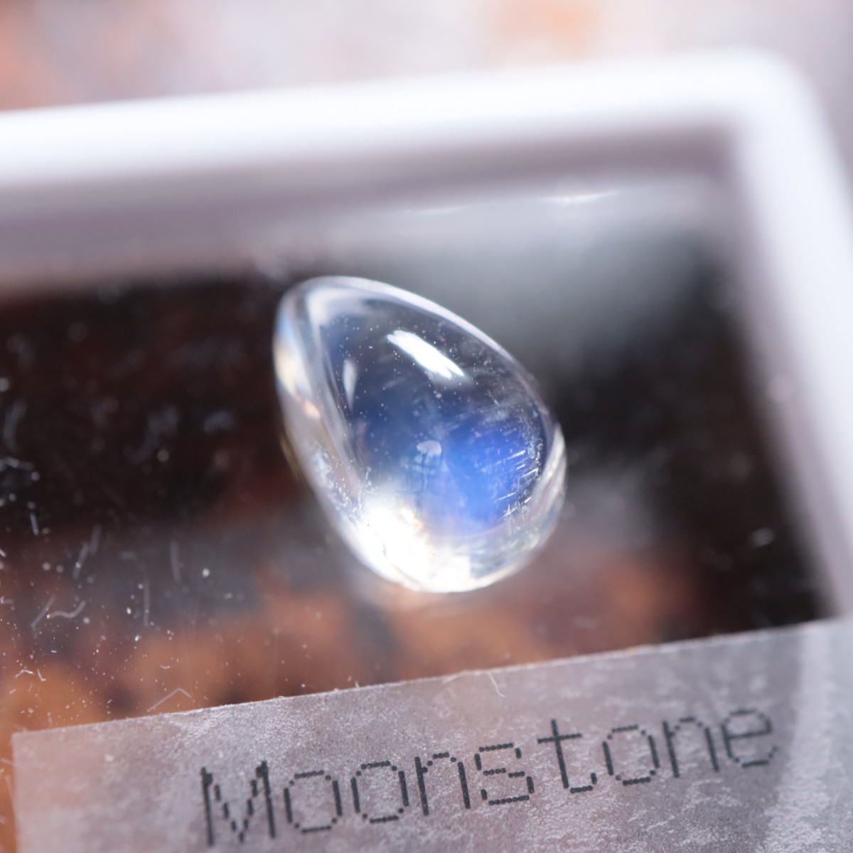 ����ɻ� �ࡼ�󥹥ȡ���