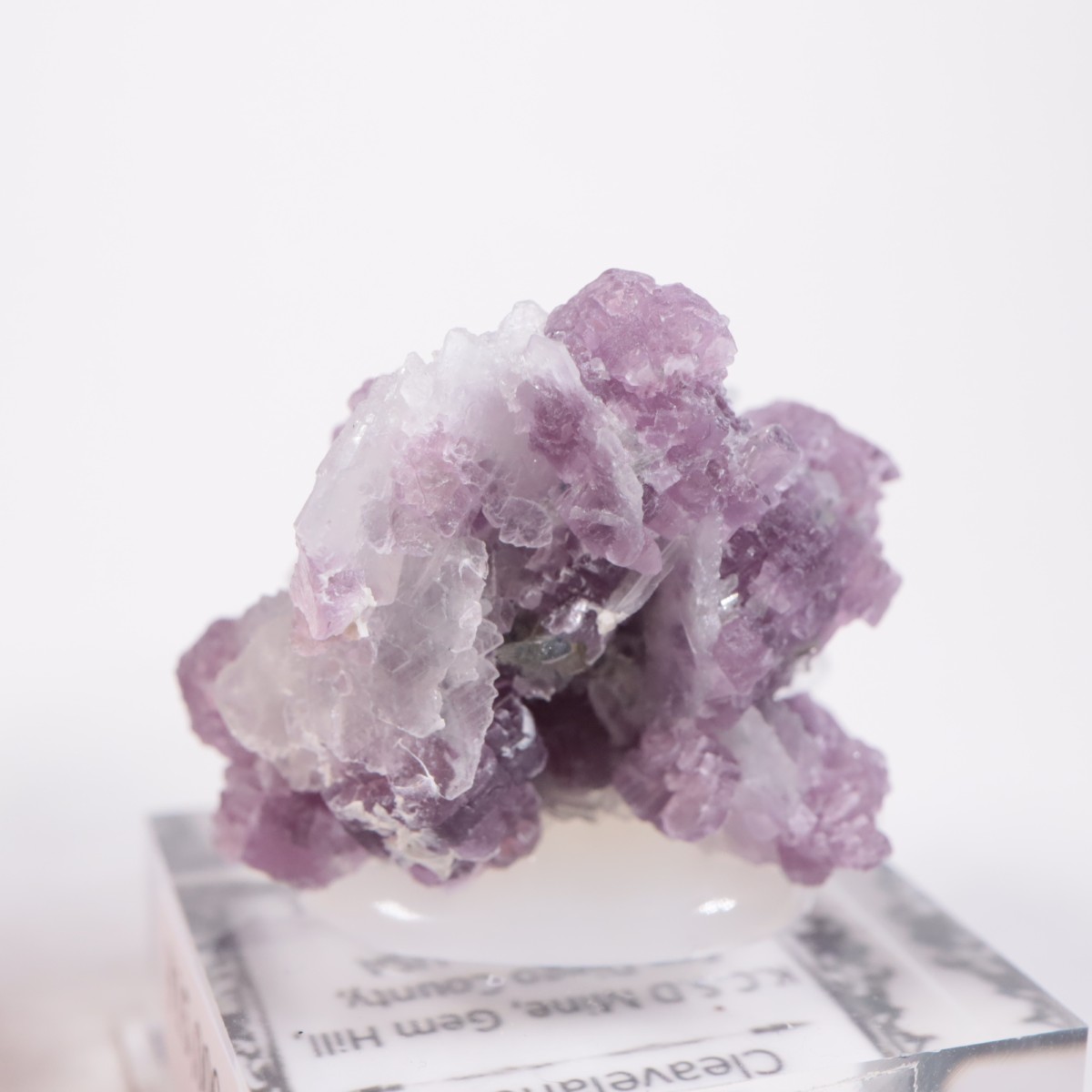 K.C.S.D�ۻ� ��ԥɥ饤�ȡ����꡼�֥�������