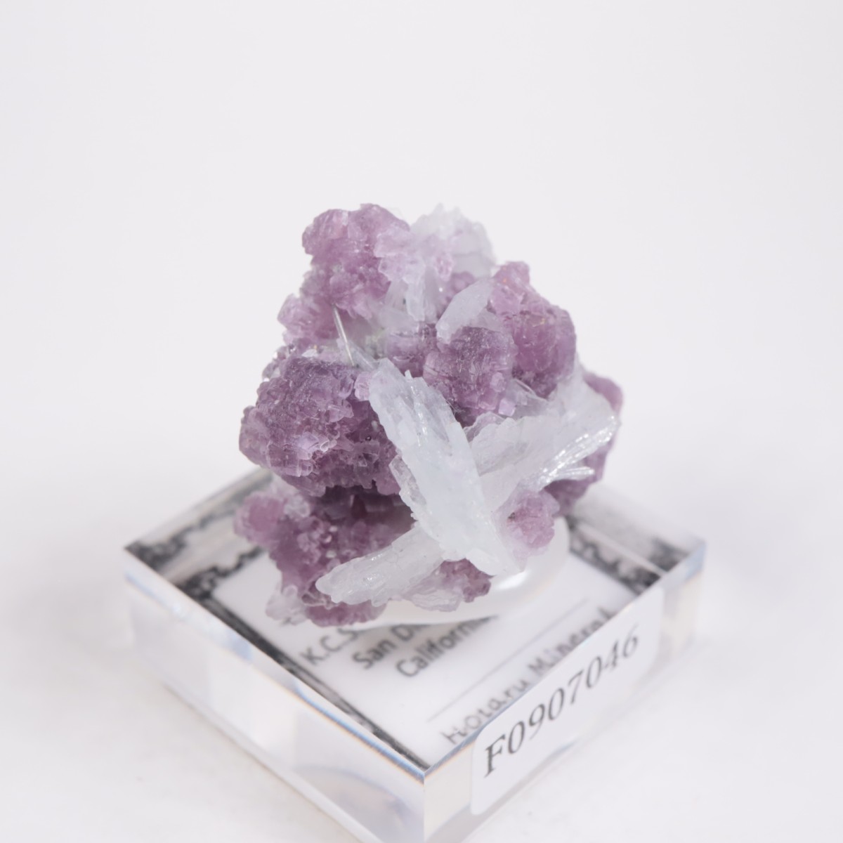 K.C.S.D�ۻ� ��ԥɥ饤�ȡ����꡼�֥�������