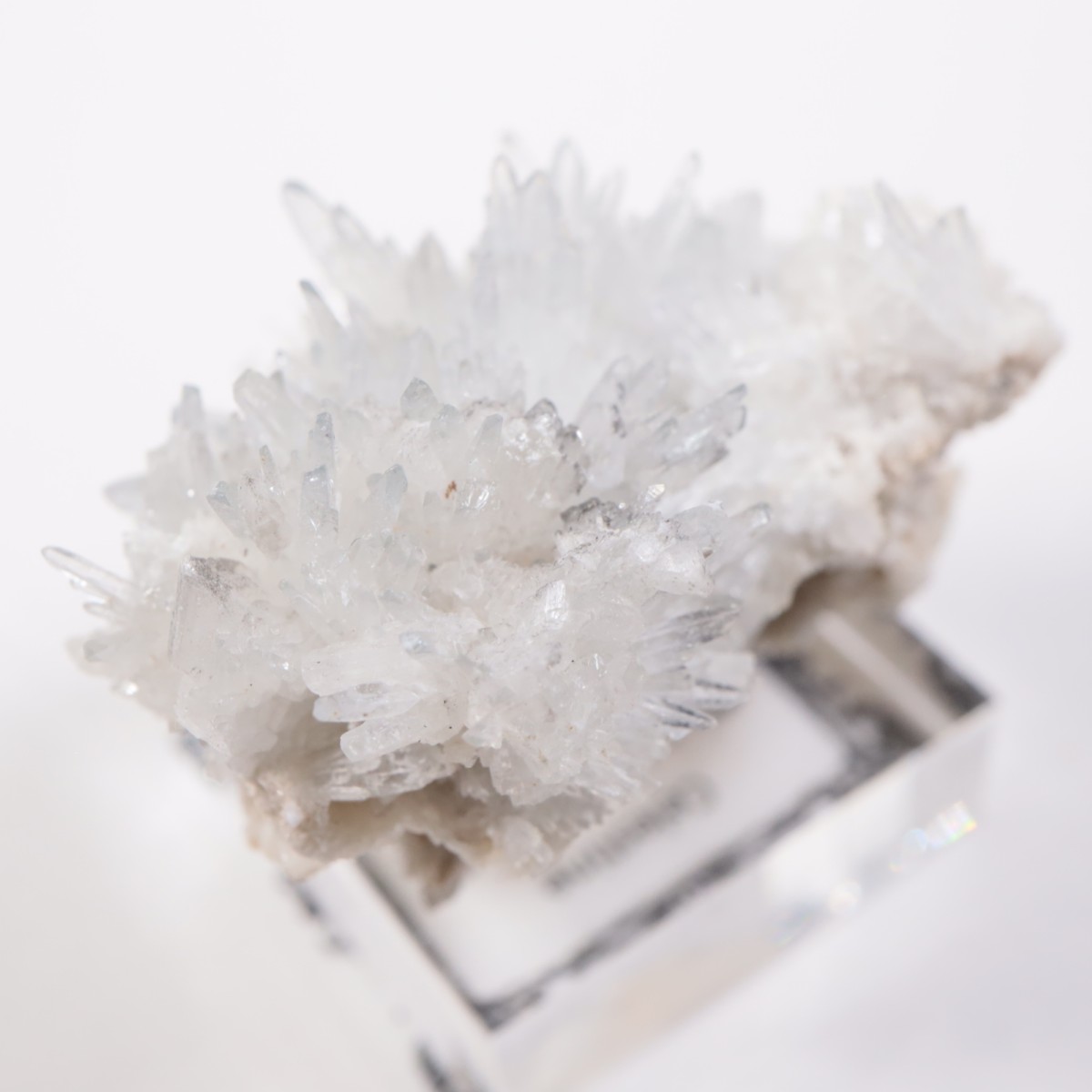 �����ꥢ�� ���쥹�ƥ���