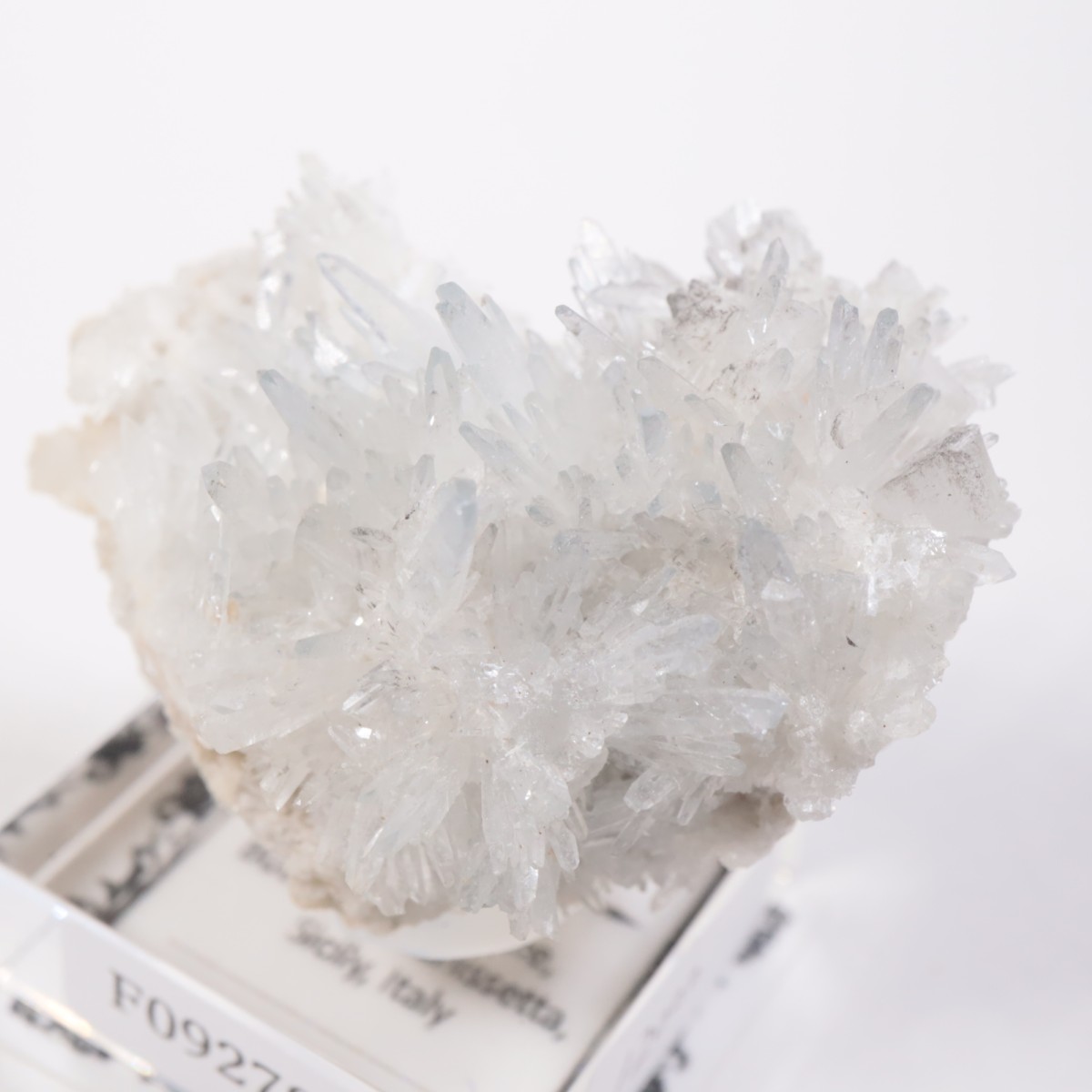 �����ꥢ�� ���쥹�ƥ���