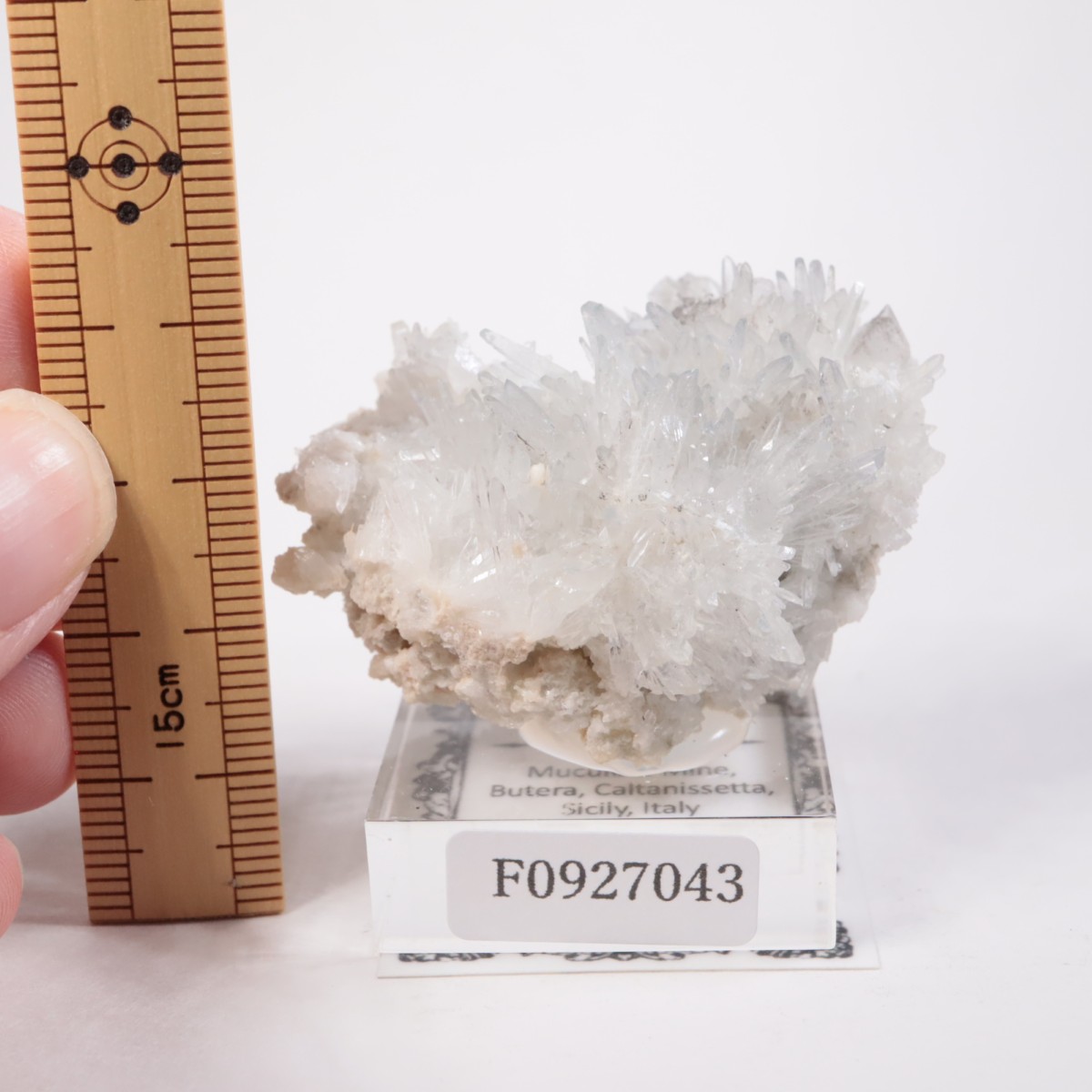 �����ꥢ�� ���쥹�ƥ���