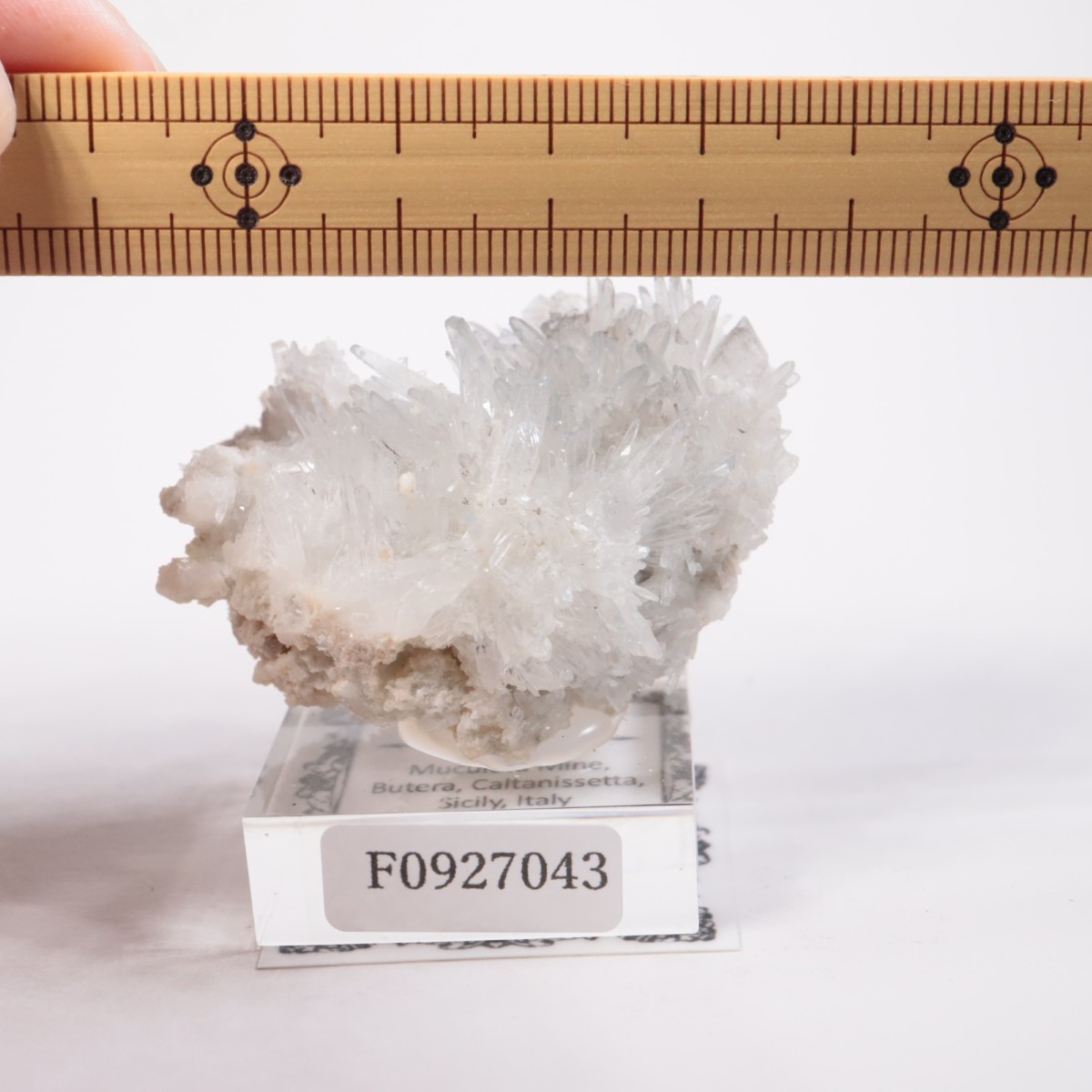 �����ꥢ�� ���쥹�ƥ���