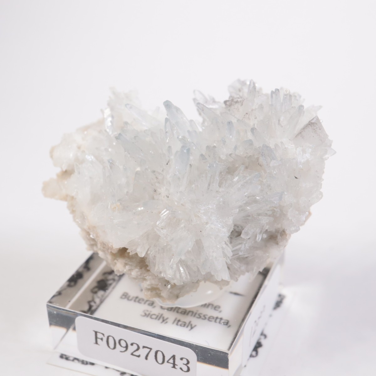 �����ꥢ�� ���쥹�ƥ���