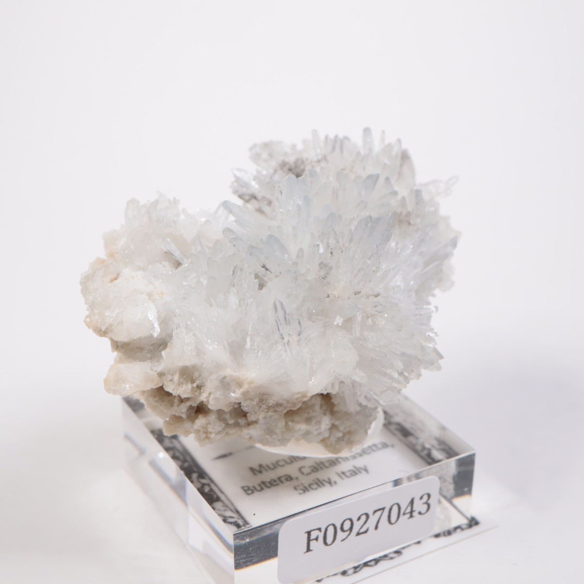 �����ꥢ�� ���쥹�ƥ���