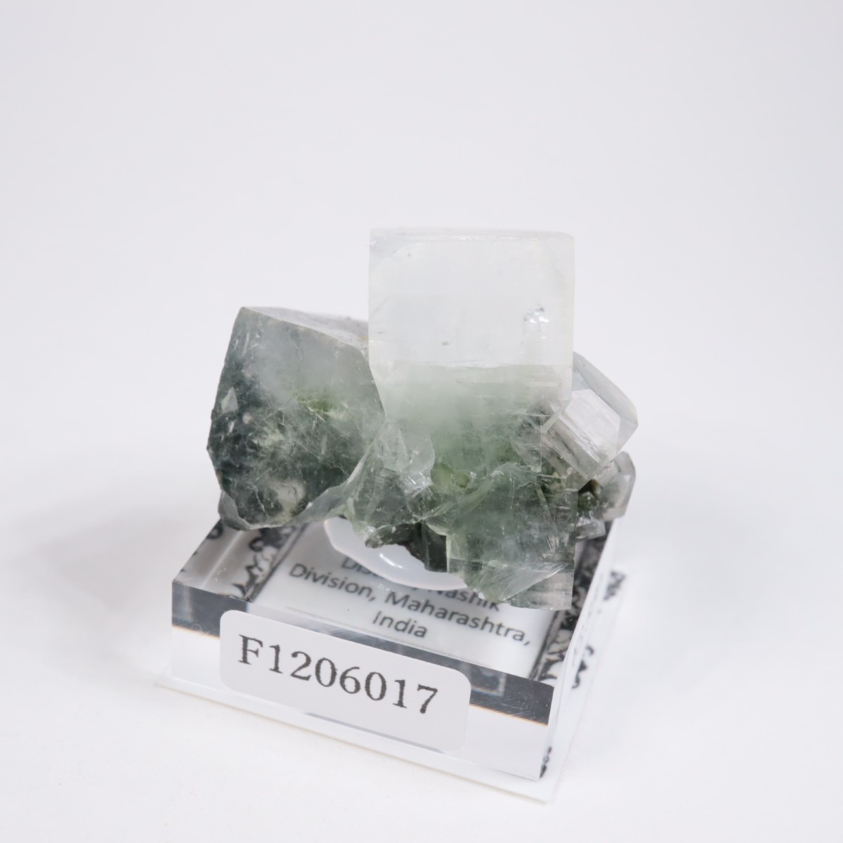 ����ɻ� ���ݥե��饤��