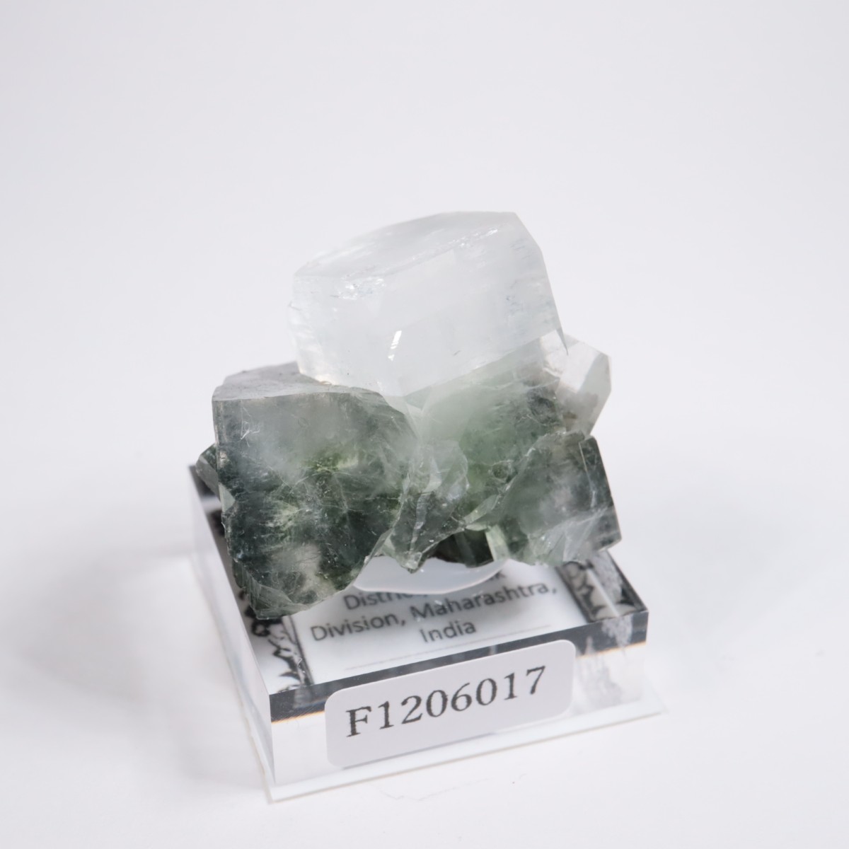 ����ɻ� ���ݥե��饤��