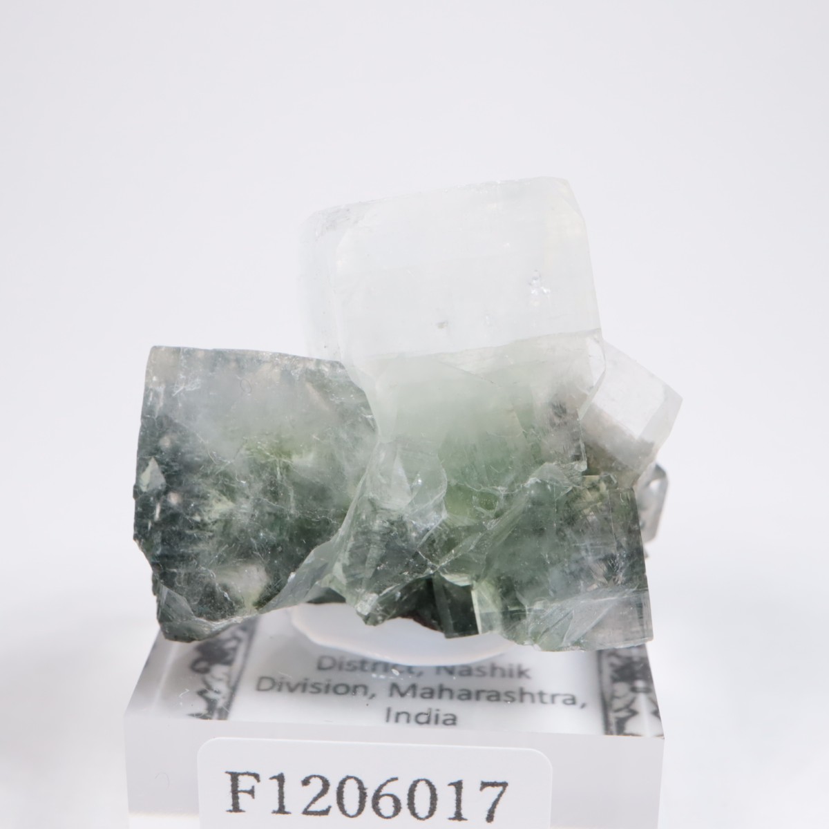 ����ɻ� ���ݥե��饤��