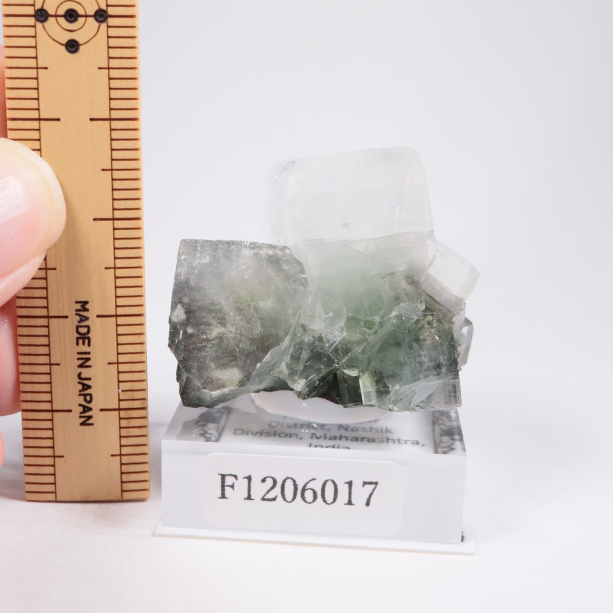 ����ɻ� ���ݥե��饤��