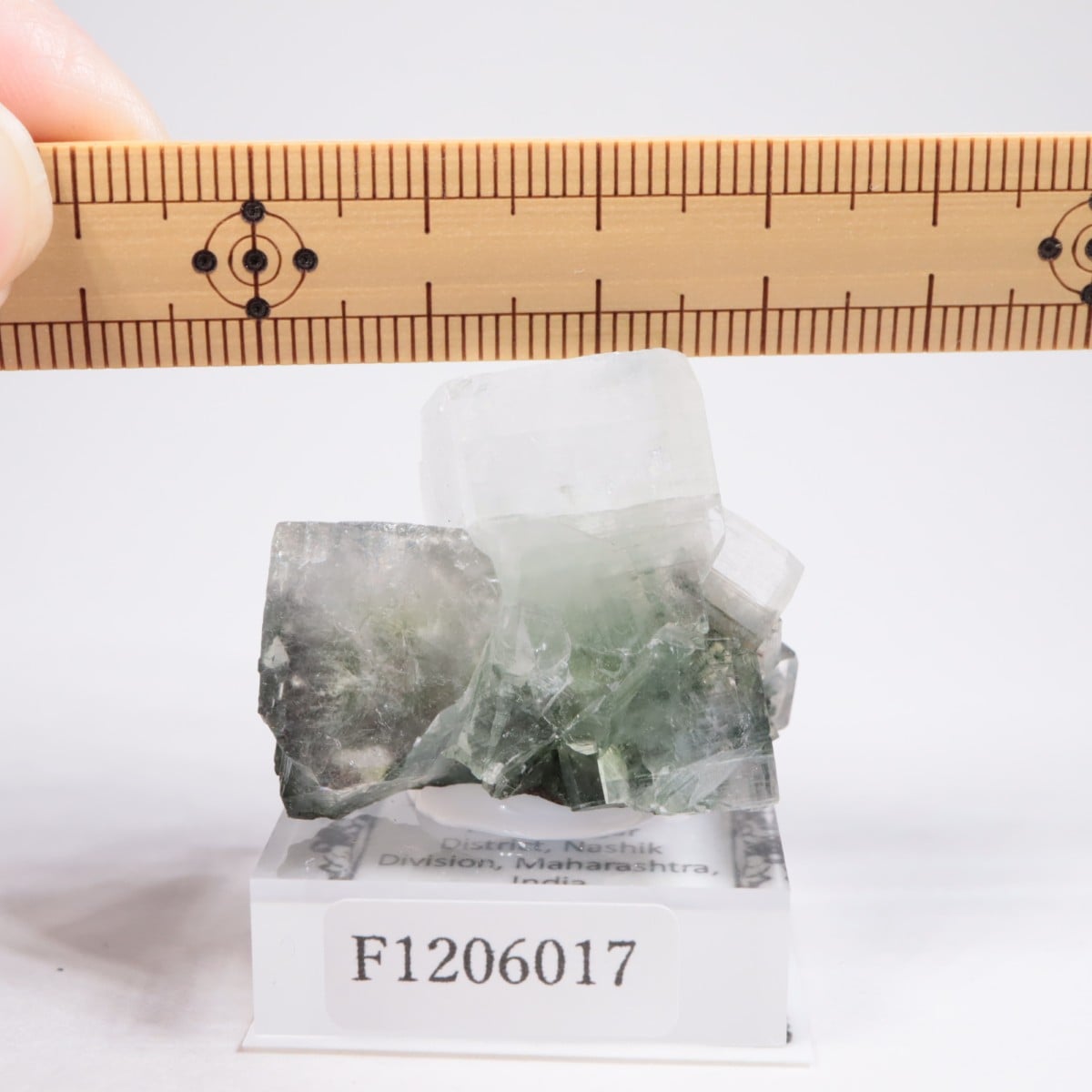 ����ɻ� ���ݥե��饤��