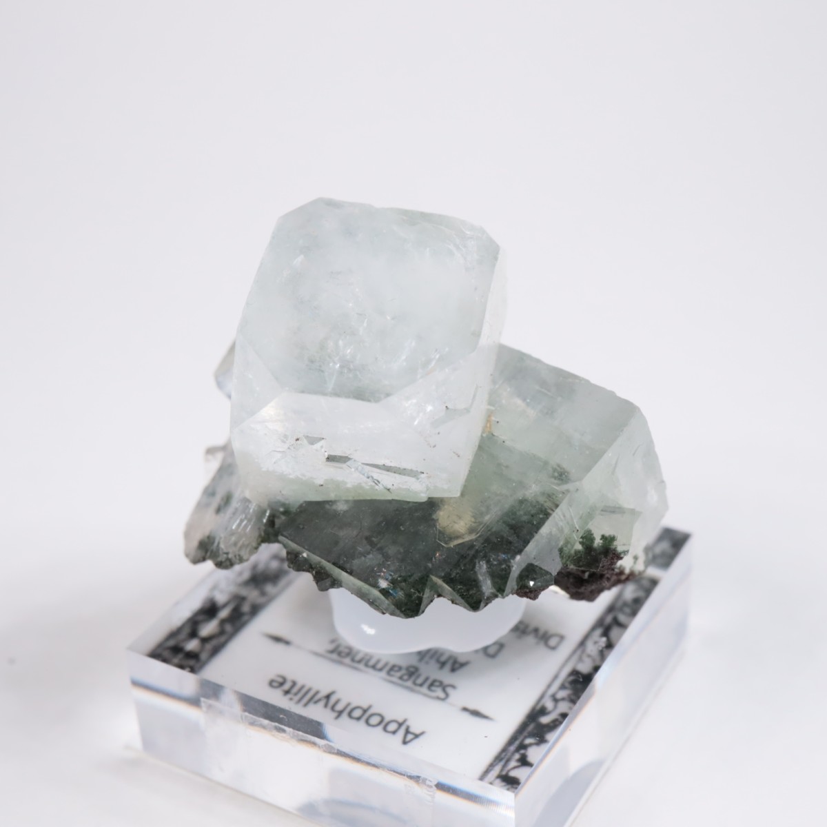 ����ɻ� ���ݥե��饤��