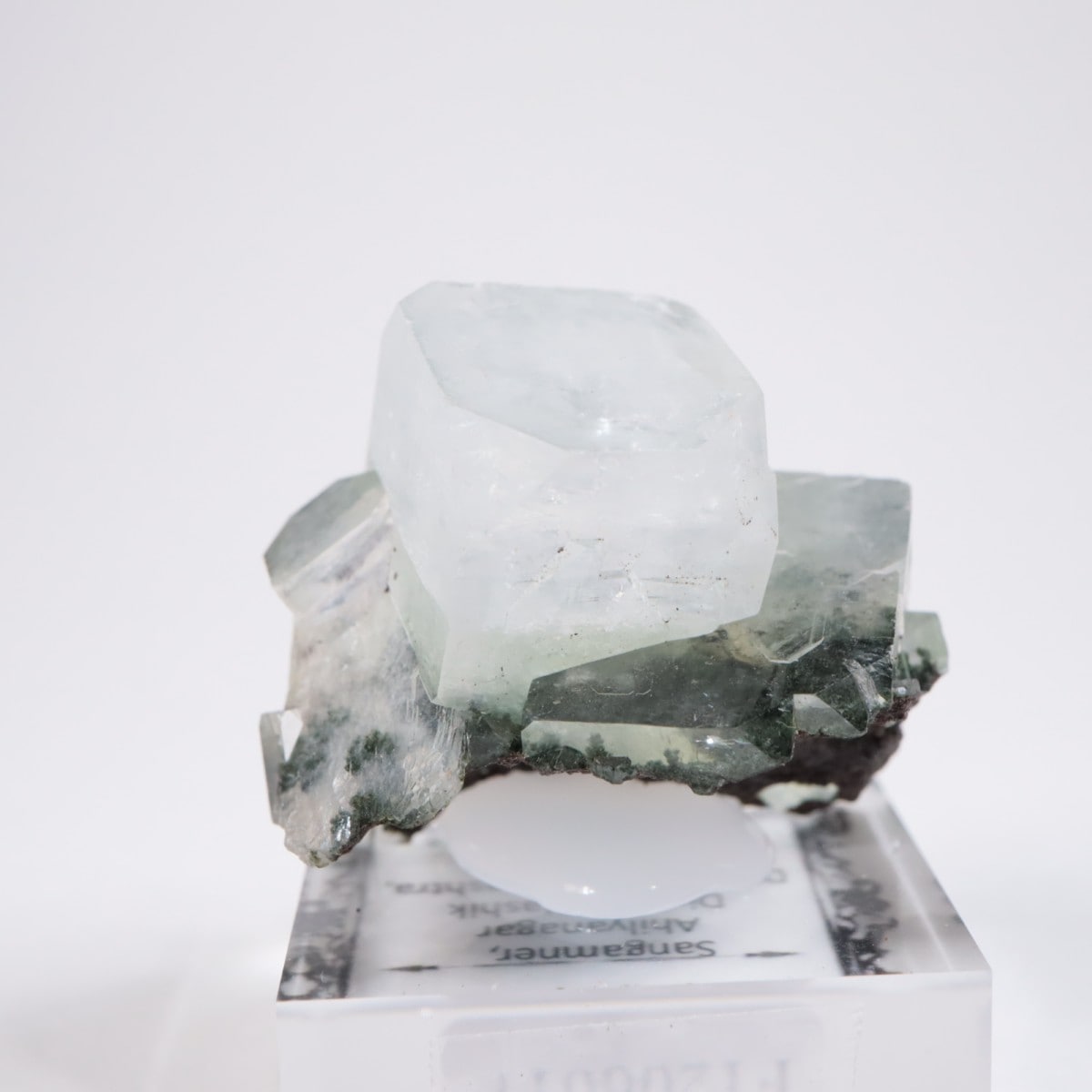 ����ɻ� ���ݥե��饤��