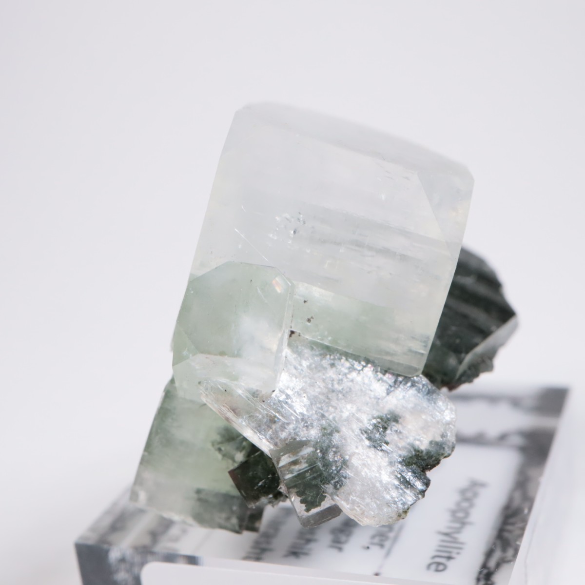 ����ɻ� ���ݥե��饤��