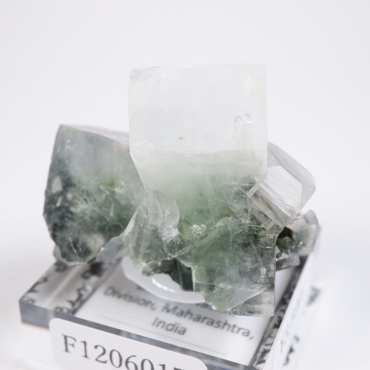 ����ɻ� ���ݥե��饤��