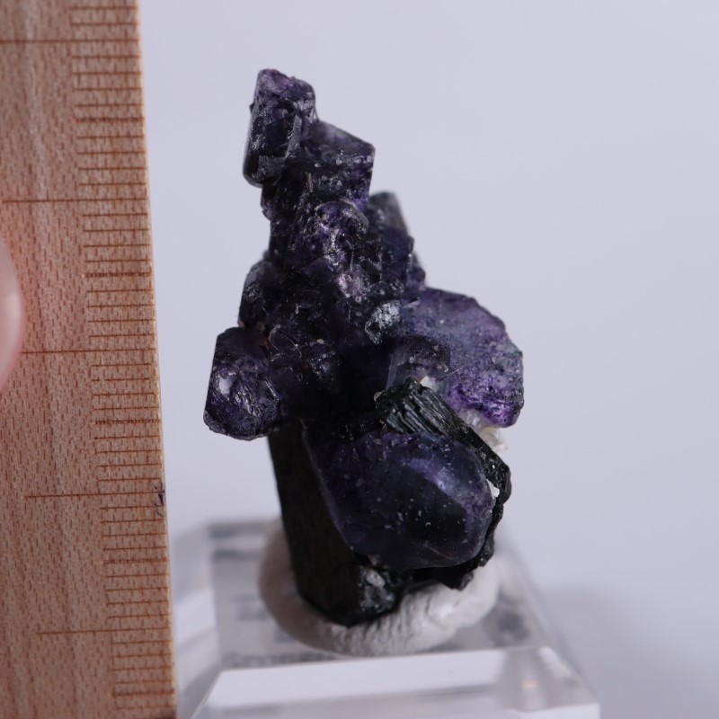 4_000000001410.jpg?1678209904