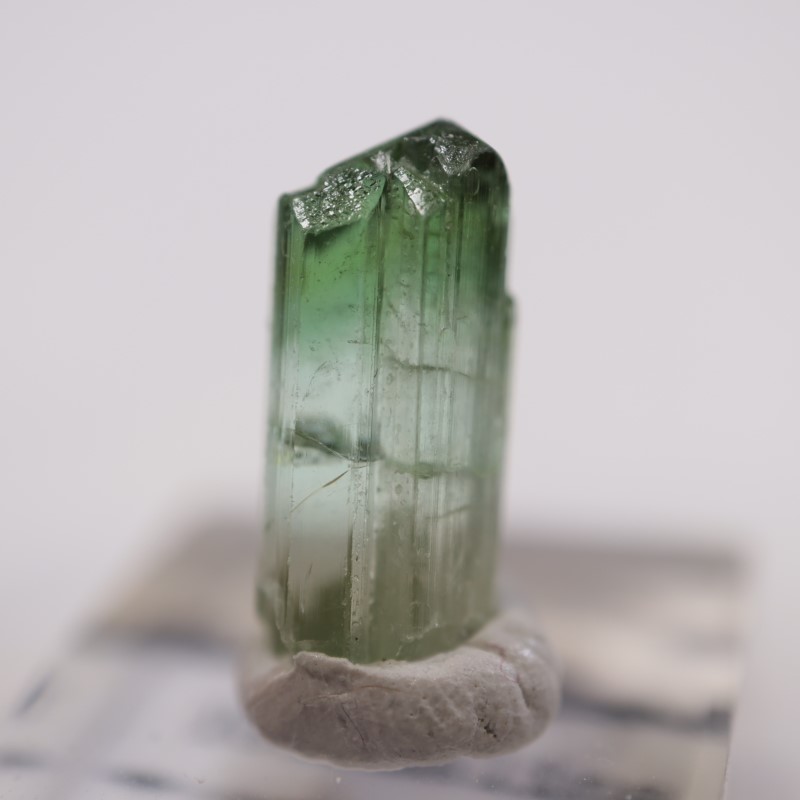 1_000000004510.jpg?1678209904