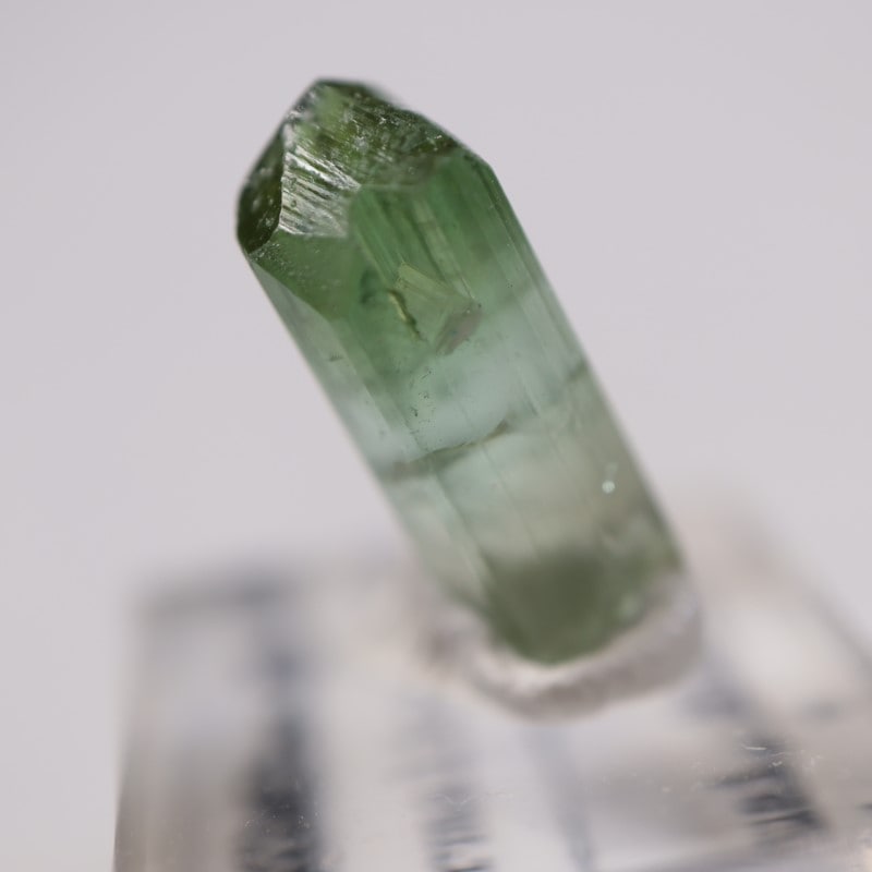 ブラジル産 トルマリン | 鉱物標本,タ行,トルマリン/電気石 | ほたるみ