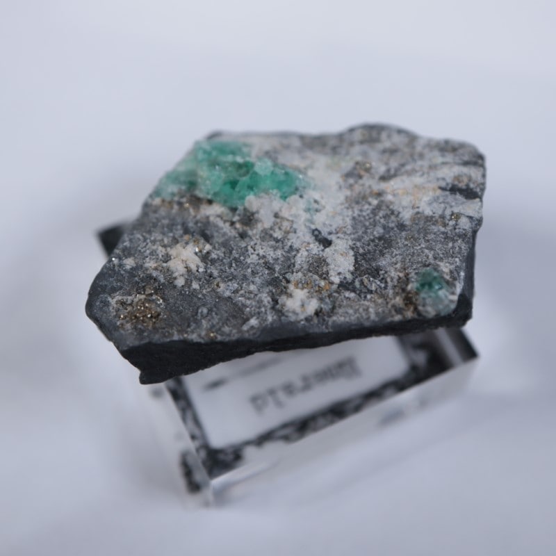 ������ӥ������������