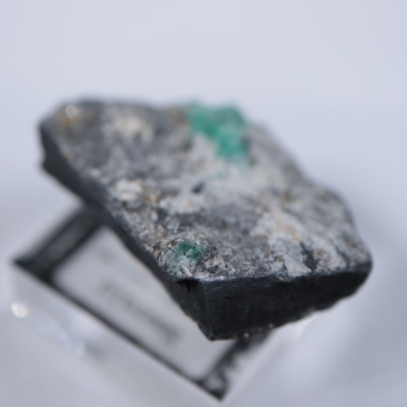 ������ӥ������������