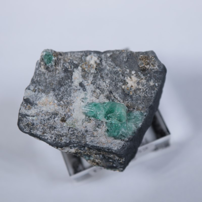 ������ӥ������������