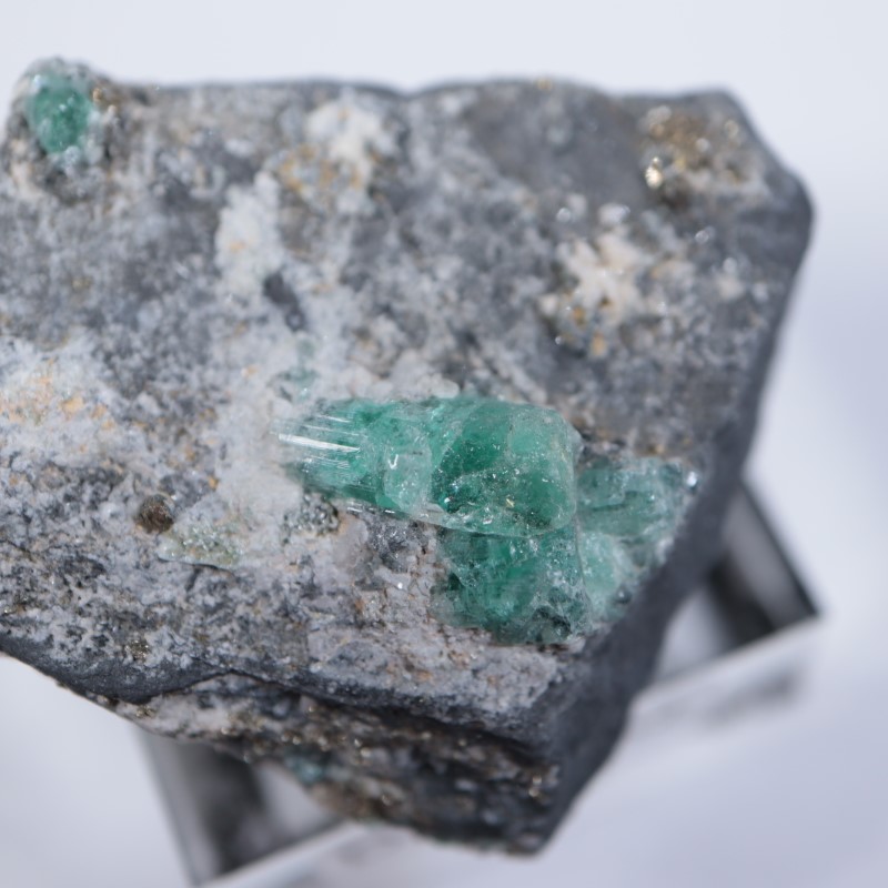 ������ӥ������������