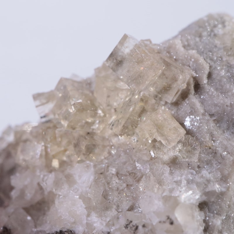 オハイオ州 フローライト | 鉱物標本,ハ行,フローライト/蛍石,フロー