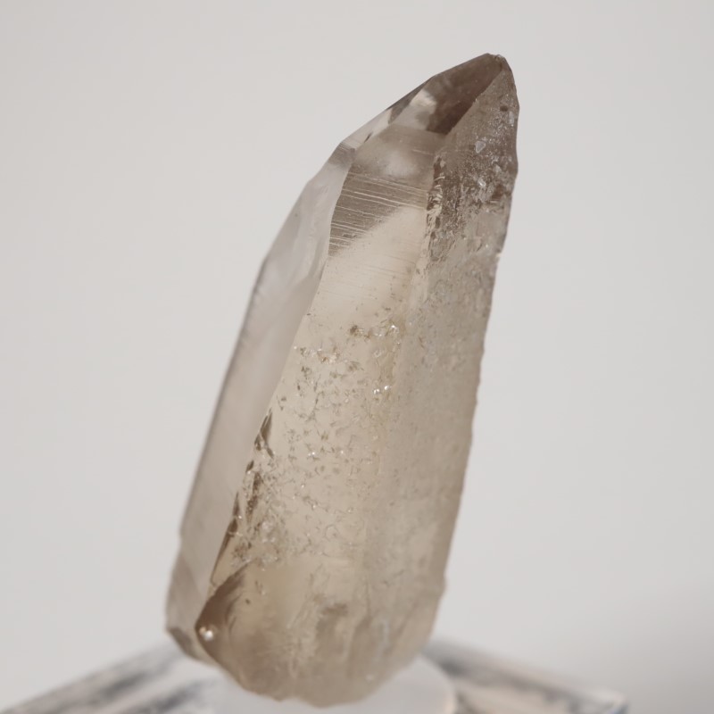 ��󥿥ʽ�����徽