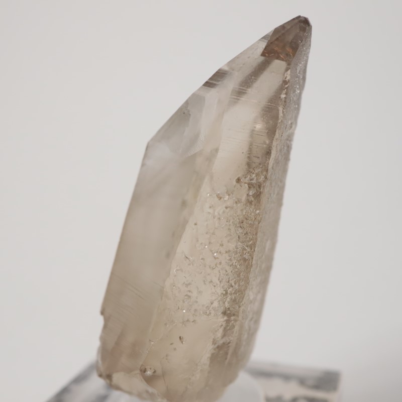 ��󥿥ʽ�����徽